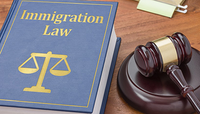Global Immigration Law